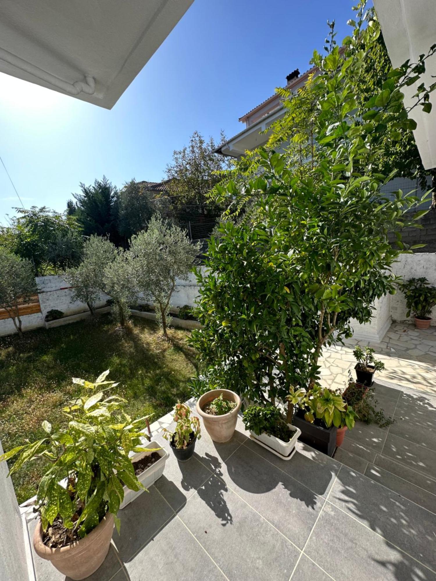 Gjirokastër Villa Braho מראה חיצוני תמונה