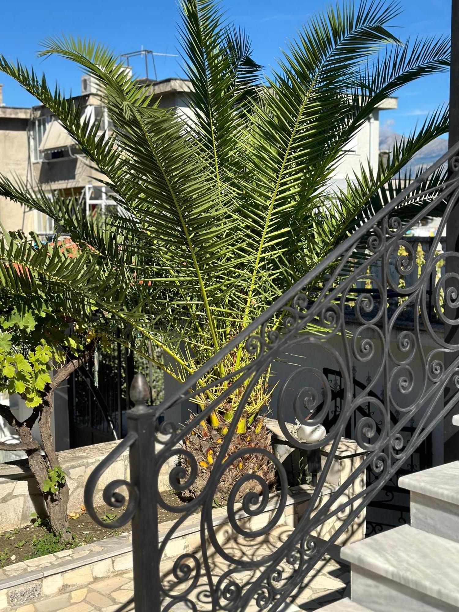 Gjirokastër Villa Braho מראה חיצוני תמונה