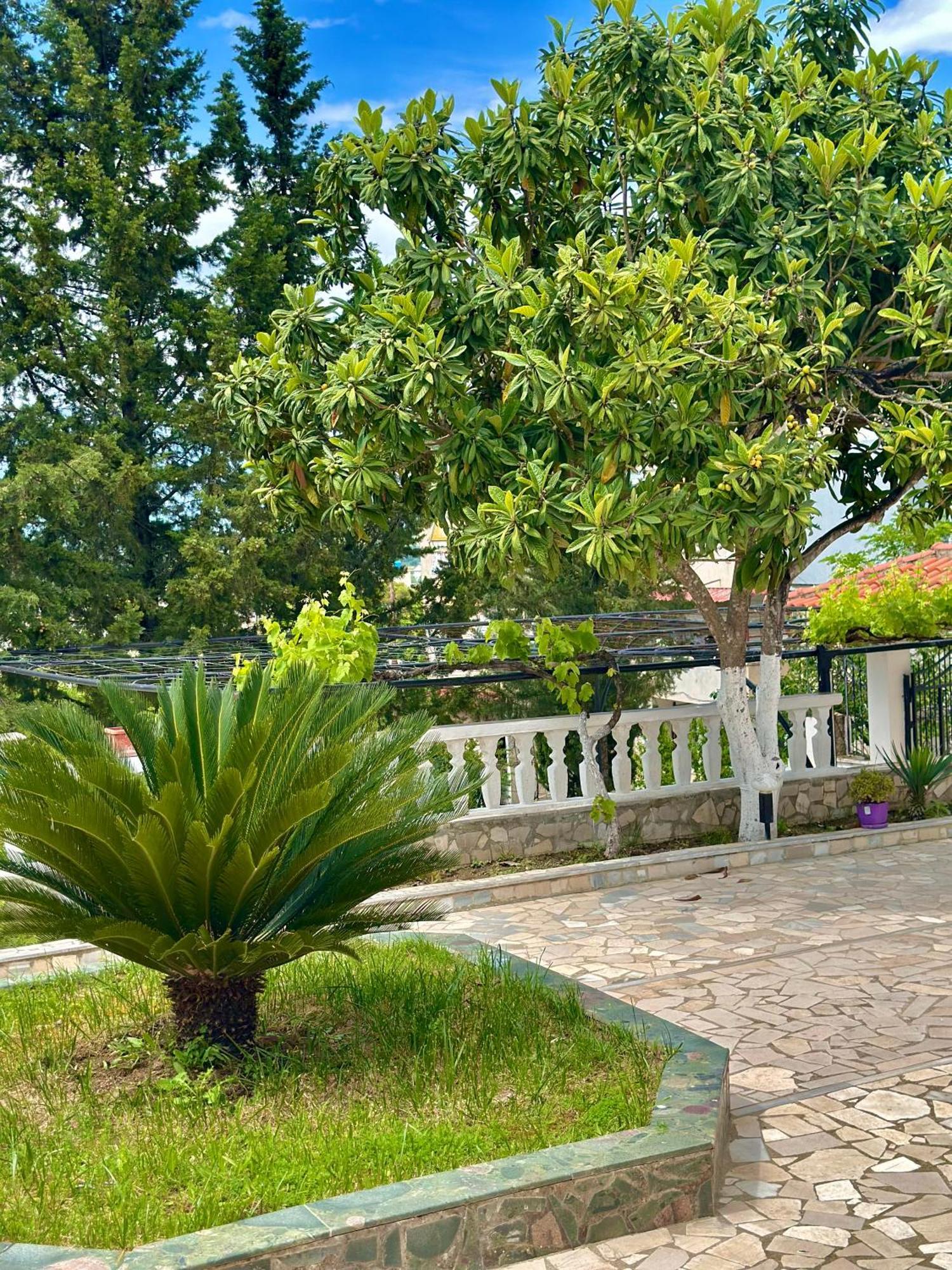 Gjirokastër Villa Braho מראה חיצוני תמונה